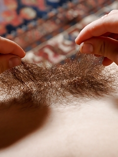 Joe Hairy Red Bush Girls