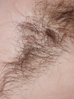 Hairy Lady Maxine Holloway Is A Beauty But She Also Loves Working Out